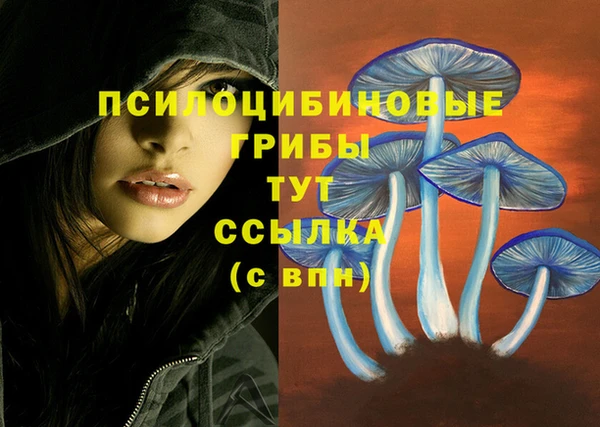 героин Армянск