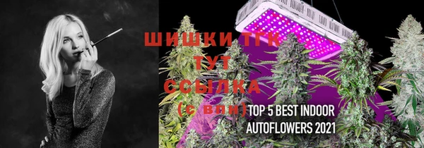 амф Арсеньев